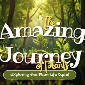 Edutainment Video - The Amazing Journey of Plants: Exploring the Plant Life Cycle!
